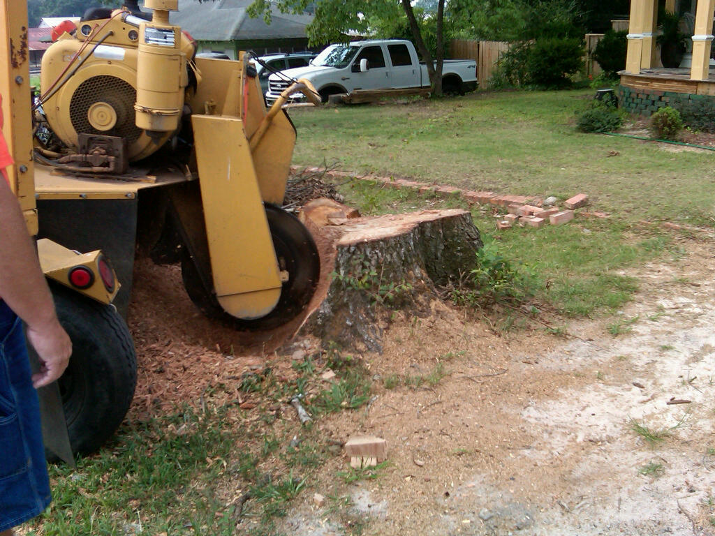 Convenient Tree Removal Services